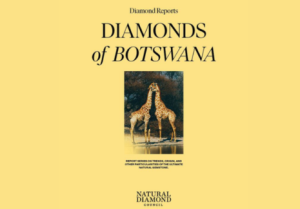 Le Botswana, en passe de créer un point de vérification des diamants du G7